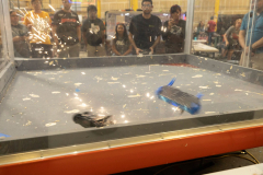 4J8A6634