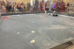 IMG_2882