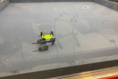 IMG_4310