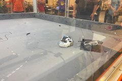 IMG_4347