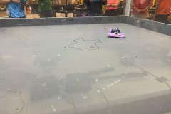 IMG_4362