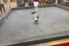 IMG_4431