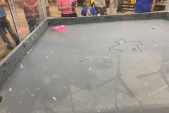 IMG_4442