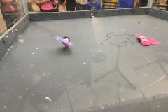 IMG_4447