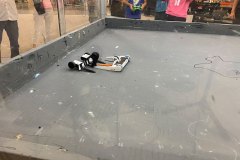 IMG_4463