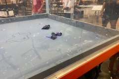 IMG_4551