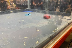 IMG_5010