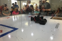 IMG_5517